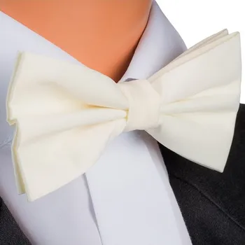 Pánský motýlek ekry Assante 90373, Velikost Uni