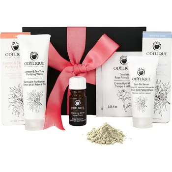 Kosmetická sada Odylique | Dárková sada pro mastnou a smíšenou pleť každodenní rutina • mini produkty • vegan • certifikováno jako bio • cruelty-free