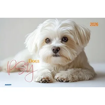 Obraz Albomové kalendáře KA-2 PSY Avanti