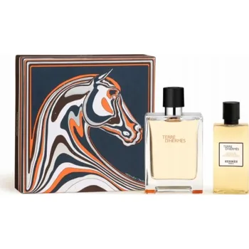 Masážní přístroj Hermes Terre D'Hermes EDT sprej 100ml + sprchový gel 80ml
