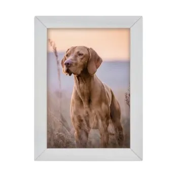 Masážní přístroj NoName Woodflow FrameFlip A4 - bělené dřevo