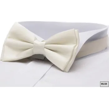 Ekry pánský motýlek v krabičce Assante 90316, Velikost Uni