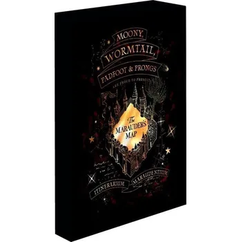 DVD film Harry Potter obraz LED svítící 30x40 cm - Pobertův plánek