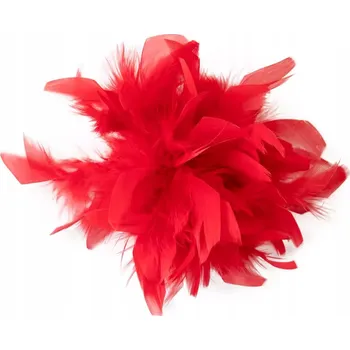 Brož Brož s červenými peříčky – ozdoba na košili, sponka do vlasů, dekorace na klobouk