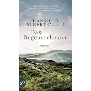 Dešťový orchestr: Román