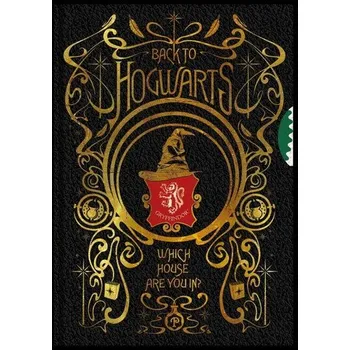 DVD film Harry Potter Zápisník - Spinner