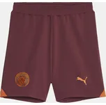 Puma Purple 1221467 7-8