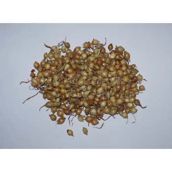 Cibulovina Sazečka cibule 10 kg