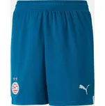 Puma Blue 1221249 11-12