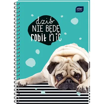 Sešit Sešit A5 s mřížkou Interdruk, 50 listů