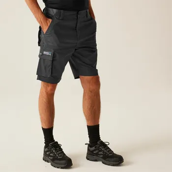 Pánské kraťasy Kraťasy Regatta Iron 1221004 34