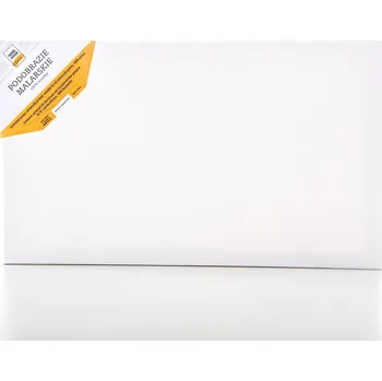 Obraz MALÍŘSKÉ PLÁTNO BAVLNĚNÉ CORTE 40X50cm 322g