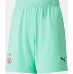 Puma Green blue 1221264 5-6