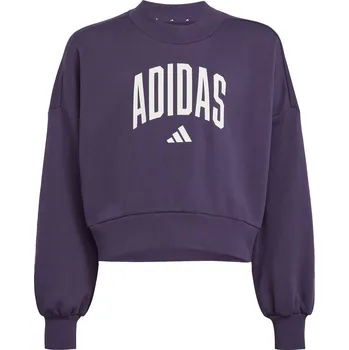 Dívčí mikina adidas Plum 1172074 13 Years