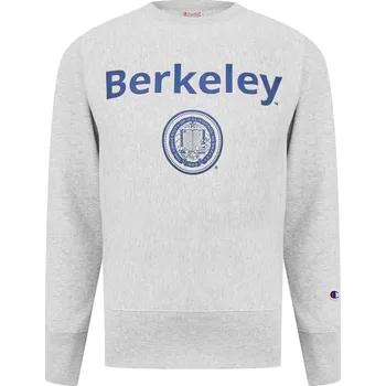 Pánské oblečení Mikina Champion Grey 5818615 X Small