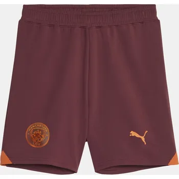 Chlapecké plavky Puma Purple 4077067 9-10