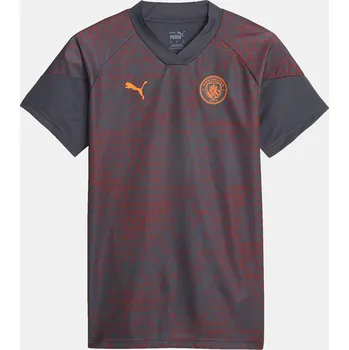 Tričko Puma Grey 2117843 XL