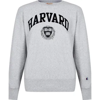 Pánské oblečení Mikina Champion Grey 9030208 X Small