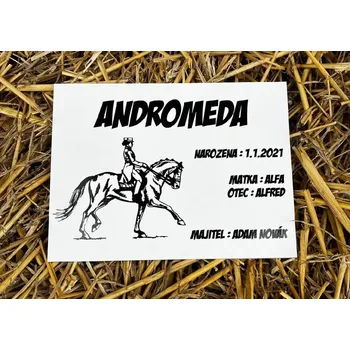 Domovní cedule x Cedulka na box se jménem a původem koně
