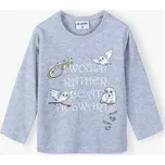 E plus M Tričko Harry Potter s Hedvikou - Růžová/Šedá Barva: Růžová, Velikost: 6