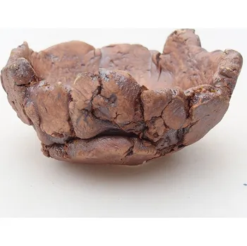 Květináč Keramická Skořápka 9 x 9 x 4,5 cm hnědá