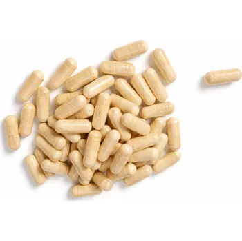 FOSFATIDILSERIN 50% - kapsle 500 mg - pro podporu a výživu mozku 90 ks