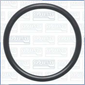 Chladič motoru Těsnění, vodní čerpadlo AJUSA 16566400