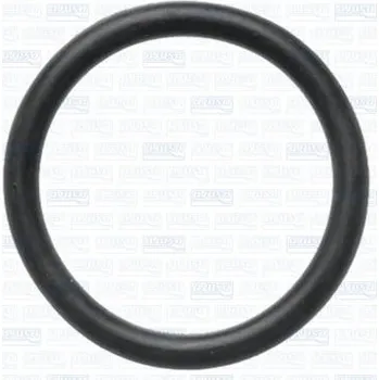 Chladič motoru Těsnění, potrubí chladiva AJUSA 16131100