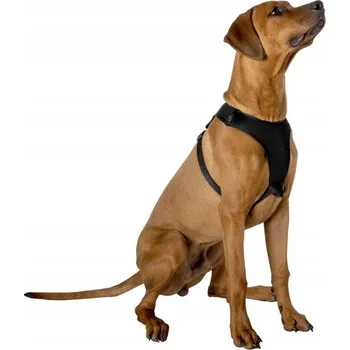 Postroj pro psa Postroj pro psa, velikost L, 67,6 x 106,5 cm, černý