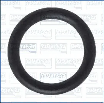 Turbodmychadlo Tesnici krouzek, hadice plniciho vzduchu AJUSA 16009000