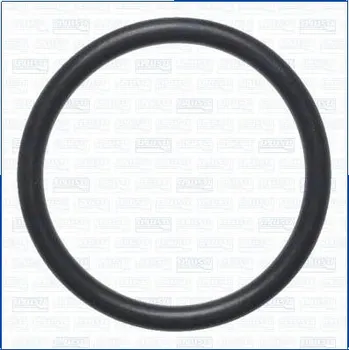 Chladič motoru Těsnění, potrubí chladiva AJUSA 16549800