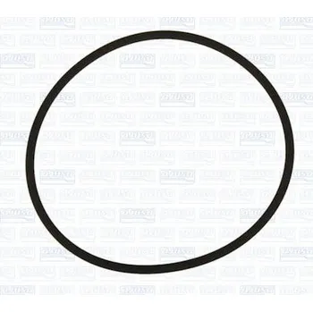 Olejový filtr Těsnění, olejový filtr AJUSA 16096300