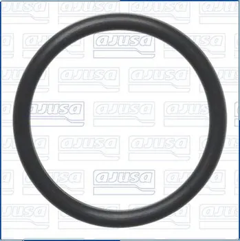 Chladič motoru Těsnění, vodní čerpadlo AJUSA 16547700