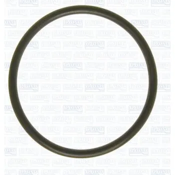 Chladič motoru Těsnění, vodní čerpadlo AJUSA 16055800