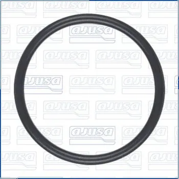 Palivové čerpadlo Těsnění, palivové čerpadlo AJUSA 16556300