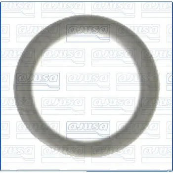 Olejová vana Tesnici krouzek, olejova vypousteci zatka AJUSA 22002200