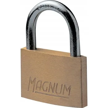 Visací zámek Visací zámek na klíč Master lock