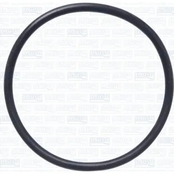 Chladič motoru Těsnění, potrubí chladiva AJUSA 16025100