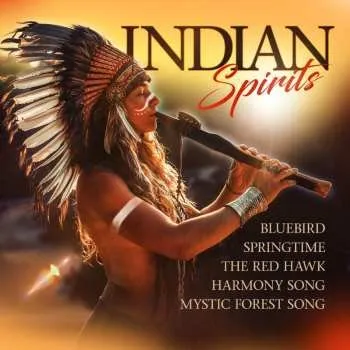 Zahraniční hudba CD Various: Indian Spirits