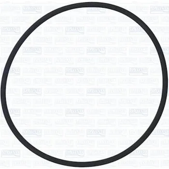 Palivové čerpadlo Těsnicí Kroužek, palivové čerpadlo AJUSA 16117400