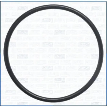 Chladič motoru Těsnění, vodní čerpadlo AJUSA 16564300