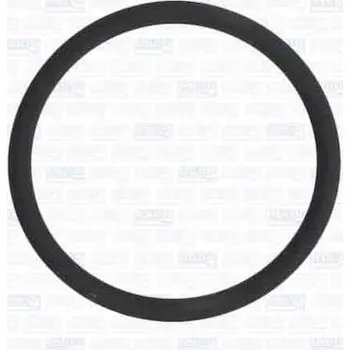 Váha vzduchu Těsnění, vedení AGR ventilu AJUSA 16117700