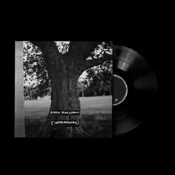 Zahraniční hudba LP King Krule: A New Place 2 Drown (Instrumentals) LTD 2026 Remastered Instrumental Limited Indie Edition Vinyl