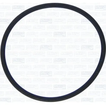 Vakuové čerpadlo Těsnění, vakuové čerpadlo AJUSA 16115200