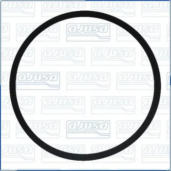 Chladič motoru Těsnění, vodní čerpadlo AJUSA 24044900