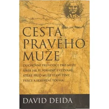 Osobní rozvoj Cesta pravého muže - David Deida (2011, brožovaná)