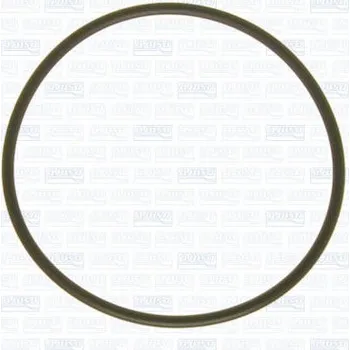 Chladič motoru Těsnění, vodní čerpadlo AJUSA 16060700