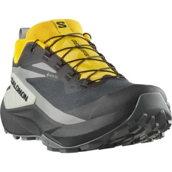 Pánská běžecká obuv Salomon Genesis GTX M L47978000 - black/sedona sage/incaberry 48