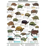 Nakladatelství Scientia Plakát…