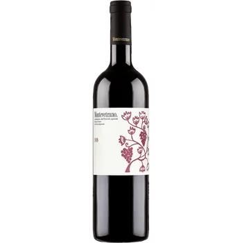 MONTEVETRANO Colli Di Salerno 2020